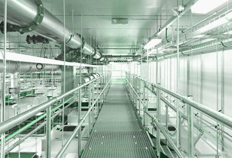 Clean Room Walkable Ceiling